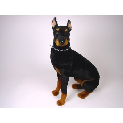 Doberman Pinscher 0270 by Piutrè