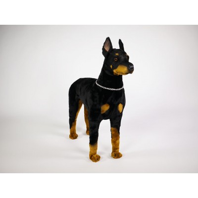 Doberman Pinscher 0272 by Piutrè