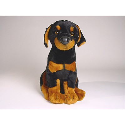 Doberman Pinscher Puppy 0268 by Piutrè