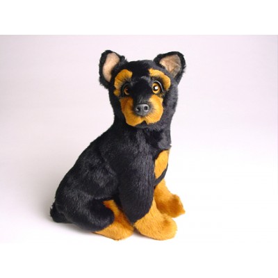 Doberman Pinscher Puppy 1303 by Piutrè