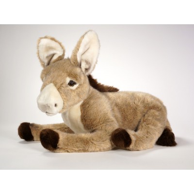 Donkey Foal 2666 by Piutrè 