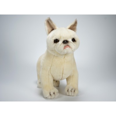 French Bulldog Puppy 1365 by Piutrè 