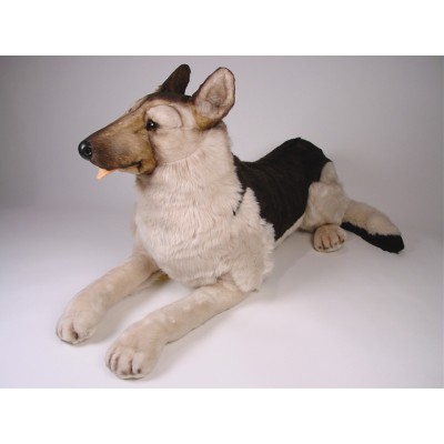 German Shepherd Dog 2223 by Piutrè