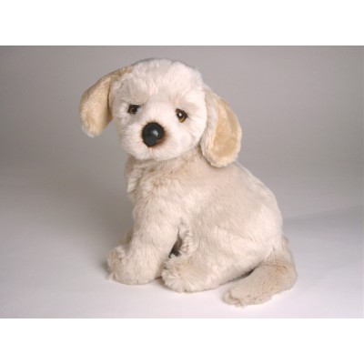 Golden Retriever Puppy 3280 by Piutrè 