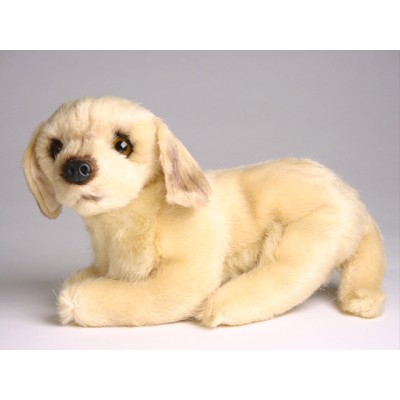 Golden Retriever (Miniature) 4248 by Piutrè 