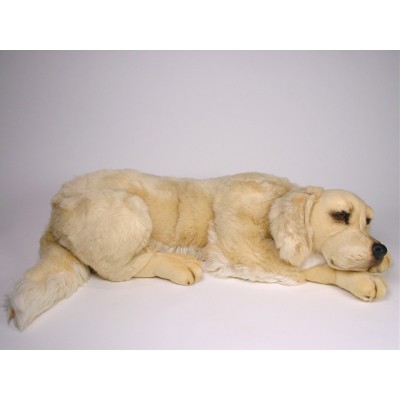 Golden Retriever 2202 by Piutrè