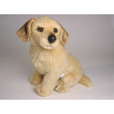 Golden Retriever Puppy 2204 by Piutrè