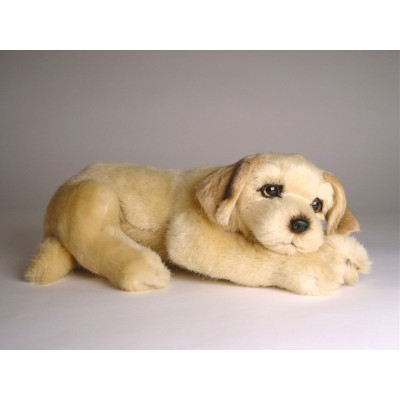 Golden Retriever Puppy 2209 by Piutrè