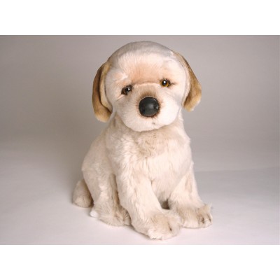 Golden Retriever Puppy 3282 by Piutrè 