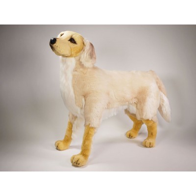 Golden Retriever 2201 by Piutrè