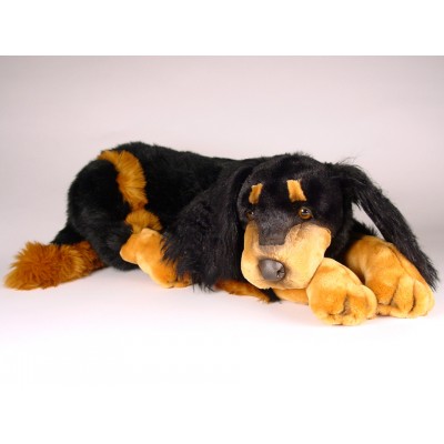 Gordon Setter 3380 by Piutrè 