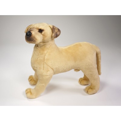 Great Dane Puppy 3304 by Piutrè 