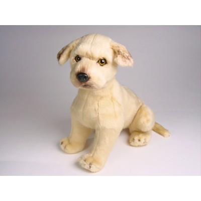 Great Dane Puppy 3306 by Piutrè 