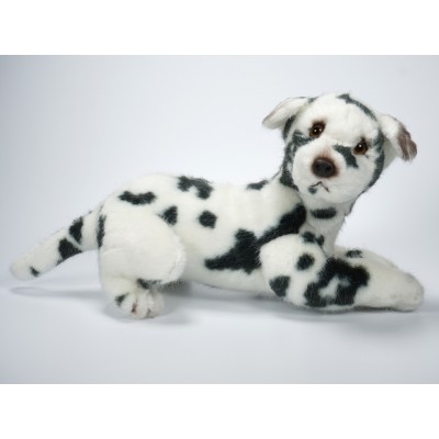 Harlequin Great Dane Puppy 3312 by Piutrè
