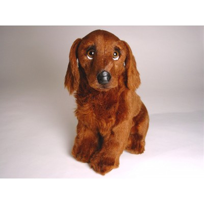 Irish Setter Puppy 3224 by Piutrè 