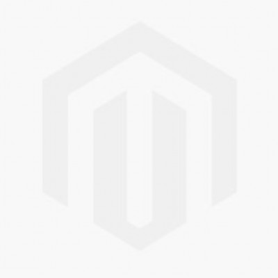 Colorpoint Ragdoll Kitten 2363