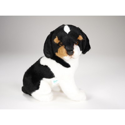 Jack Russell Terrier Puppy 1234 by Piutrè