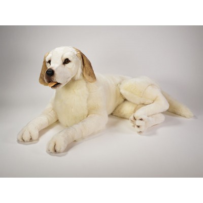 Labrador Retriever 1226 by Piutrè