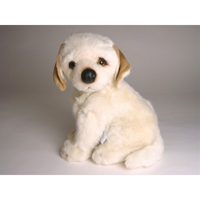 Labrador Retriever Puppy 1202 by Piutrè