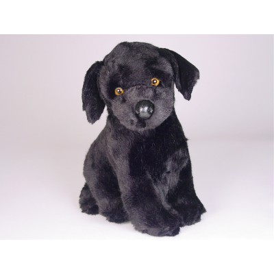 Labrador Retriever Puppy 3339 by Piutrè 