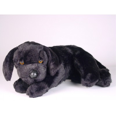 Labrador Retriever Puppy 3341 by Piutrè 