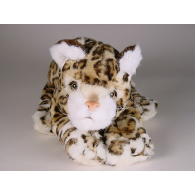 Leopard Cub 0400 by Piutrè