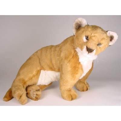 Lion Cub 2505 by Piutrè 