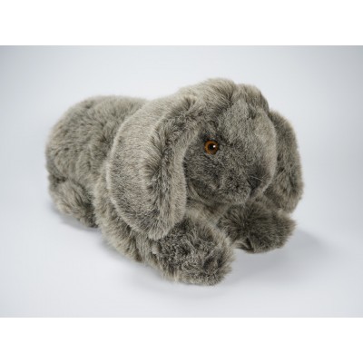 Lop-Eared Rabbit 0635 by Piutrè
