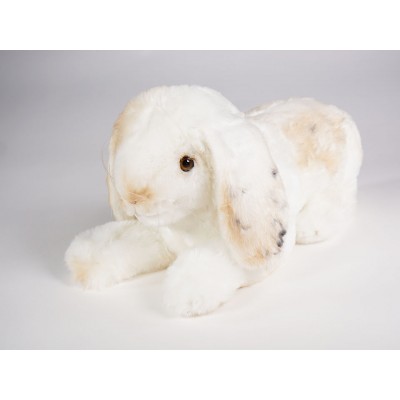 Lop-Eared Rabbit 0635 by Piutrè