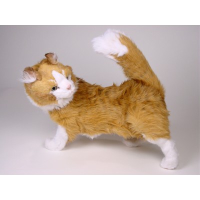 Maine Coon Cat 2380 by Piutrè 