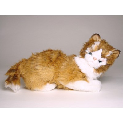 Maine Coon Kitten 2382 by Piutrè 