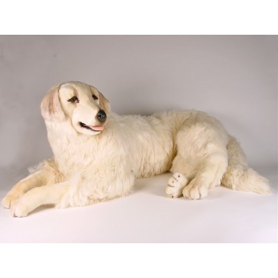 Maremma Sheepdog 3212 by Piutrè