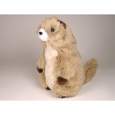 Marmot 2653 by Piutrè 