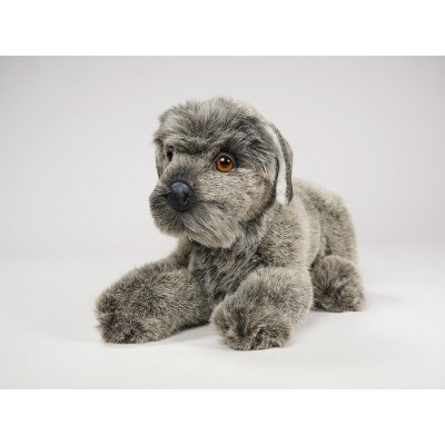 Miniature Schnauzer Puppy 1208 by Piutrè