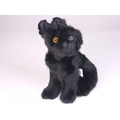 Miniature Schnauzer Puppy 1315 by Piutrè