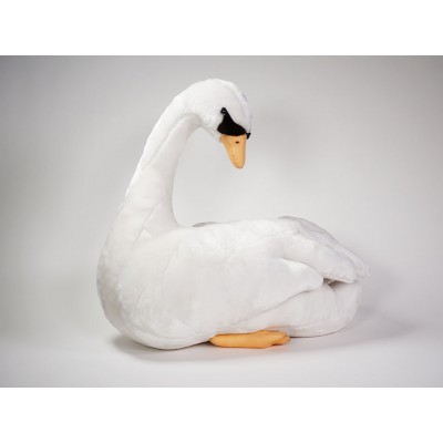 Mute Swan 0730 by Piutrè 