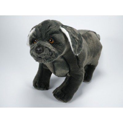 Neapolitan Mastiff Puppy 1361 by Piutrè 