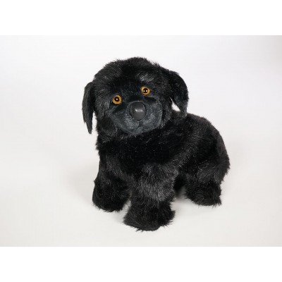 Newfoundland Puppy 2235 by Piutrè 