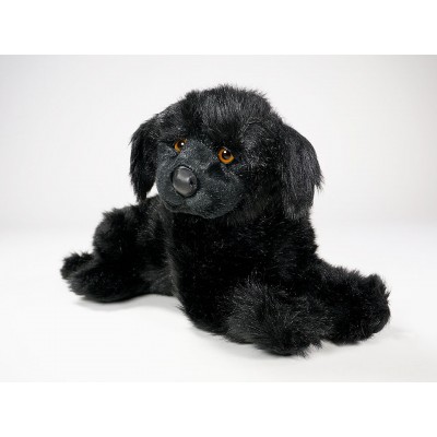 Newfoundland Puppy 2236 by Piutrè