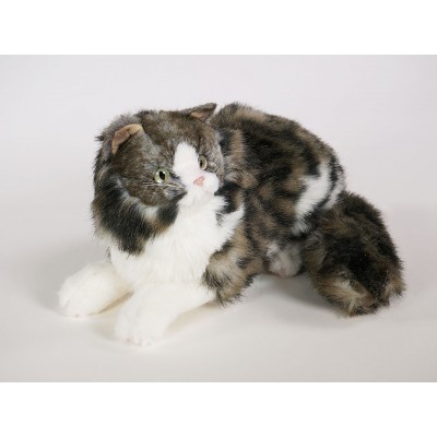 Norwegian Forest Cat Kitten 2467 by Piutrè