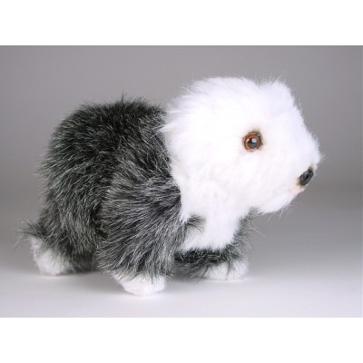 Old English Sheepdog (Miniature) 4283 by Piutrè 