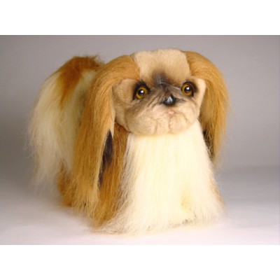 Pekingese 1250 by Piutrè