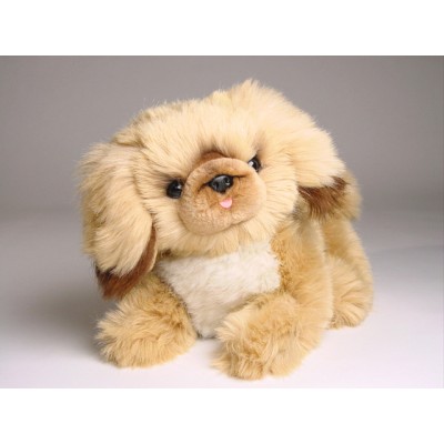 Pekingese Puppy 3253 by Piutrè 