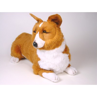 Pembroke Welsh Corgi 1221 by Piutrè