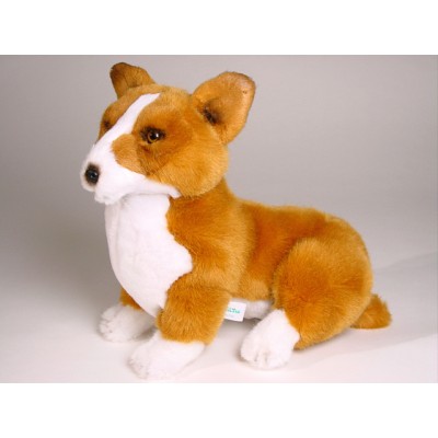 Pembroke Welsh Corgi Puppy 1222 by Piutrè