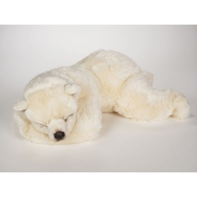 Polar Bear Cub 2122 by Piutrè