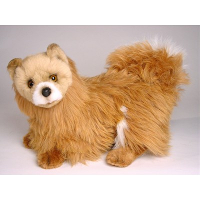 Pomeranian 0279 by Piutrè