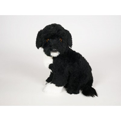 Portuguese Water Dog Puppy 4226 by Piutrè