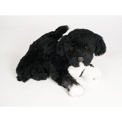 Portuguese Water Dog Puppy 4227 by Piutrè