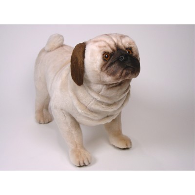 Pug 2246 by Piutrè